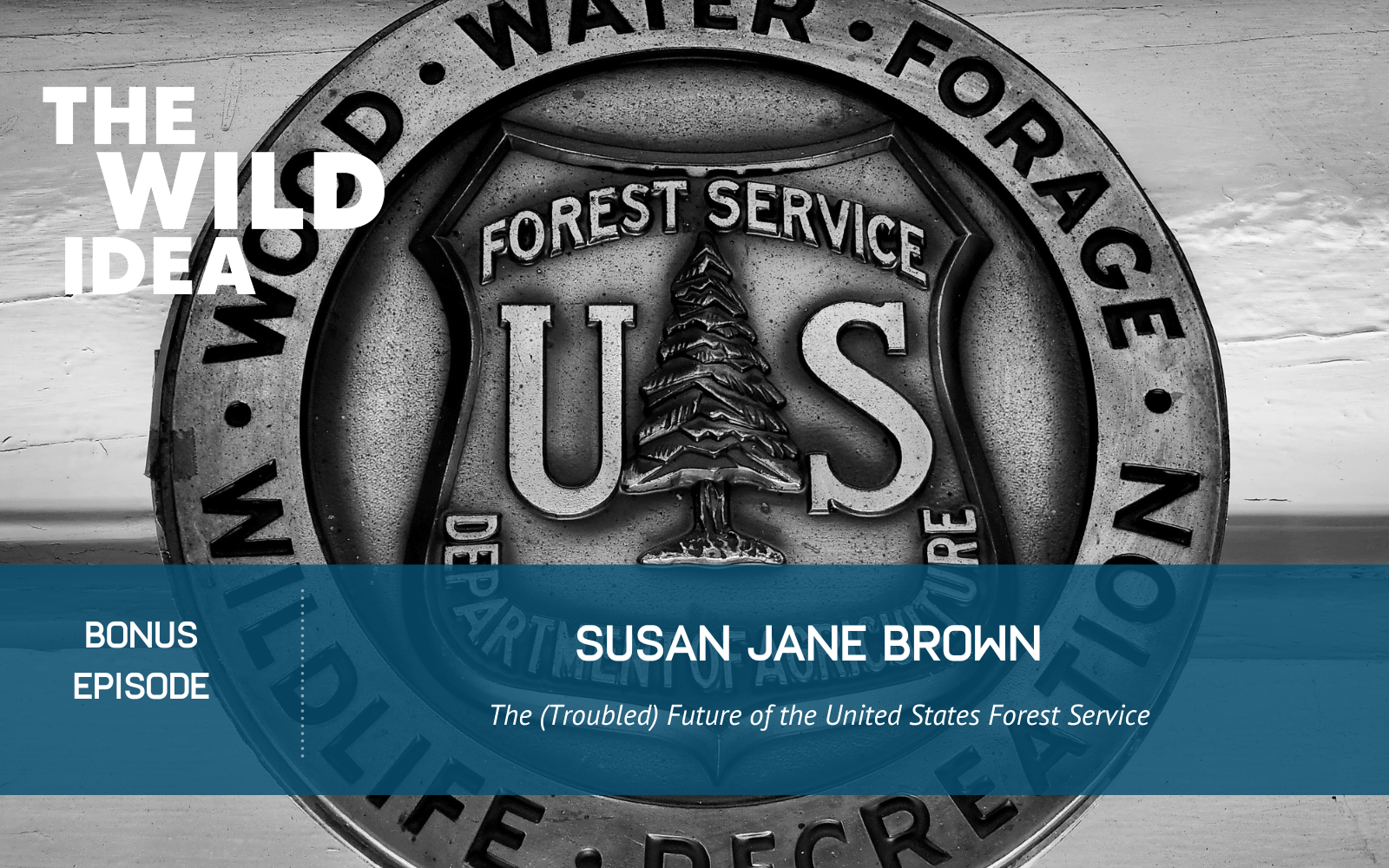 Bonus Ep Susan Jane Brown - Featured Image Susan Jane Brown Bonus Episode, photo credit Bill Hodge