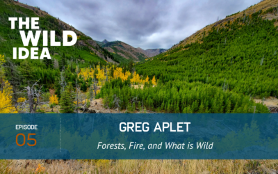 Greg Aplet: Forests, Fire, and What is Wild