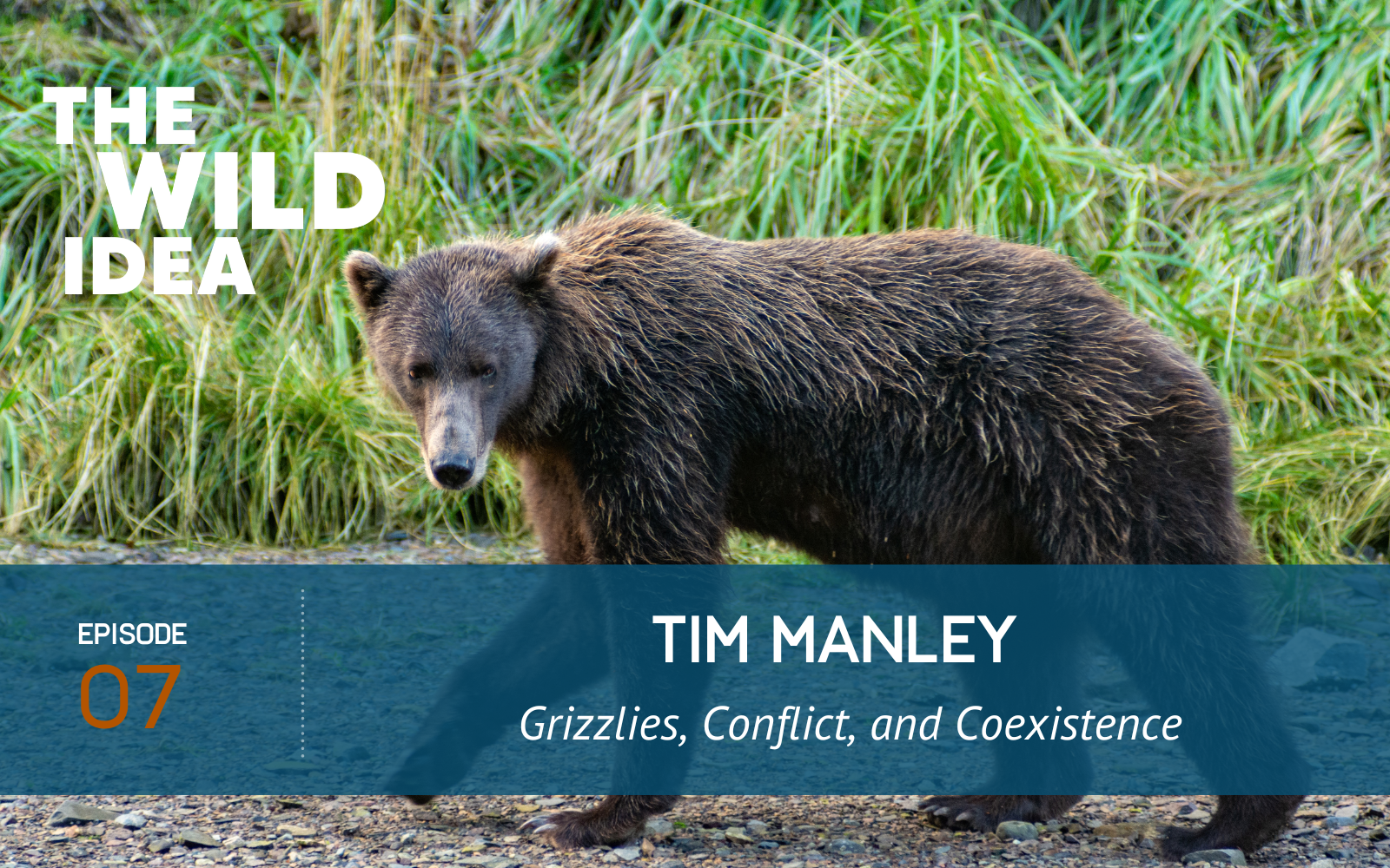 Ep 7 Featured Image Episode 7 Tim Manley