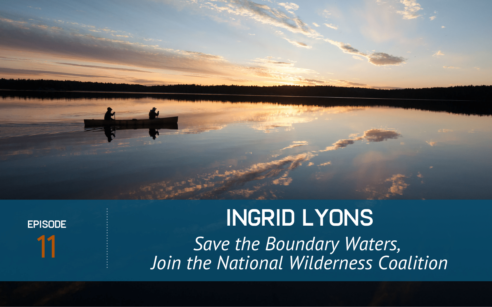 Ingrid Lyons on The Wild Idea podcast
