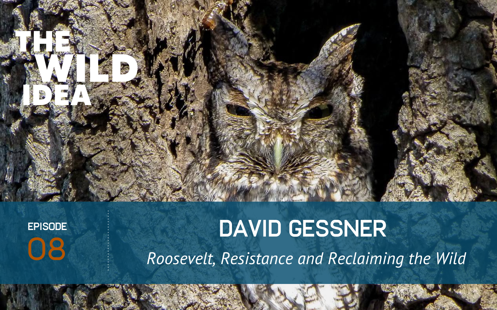 Ep 8 Featured Image Ep 8 Roosevelt, Resistance and Reclaiming the Wild