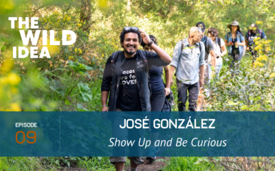 Jose Gonzalez: Show Up and Be Curious