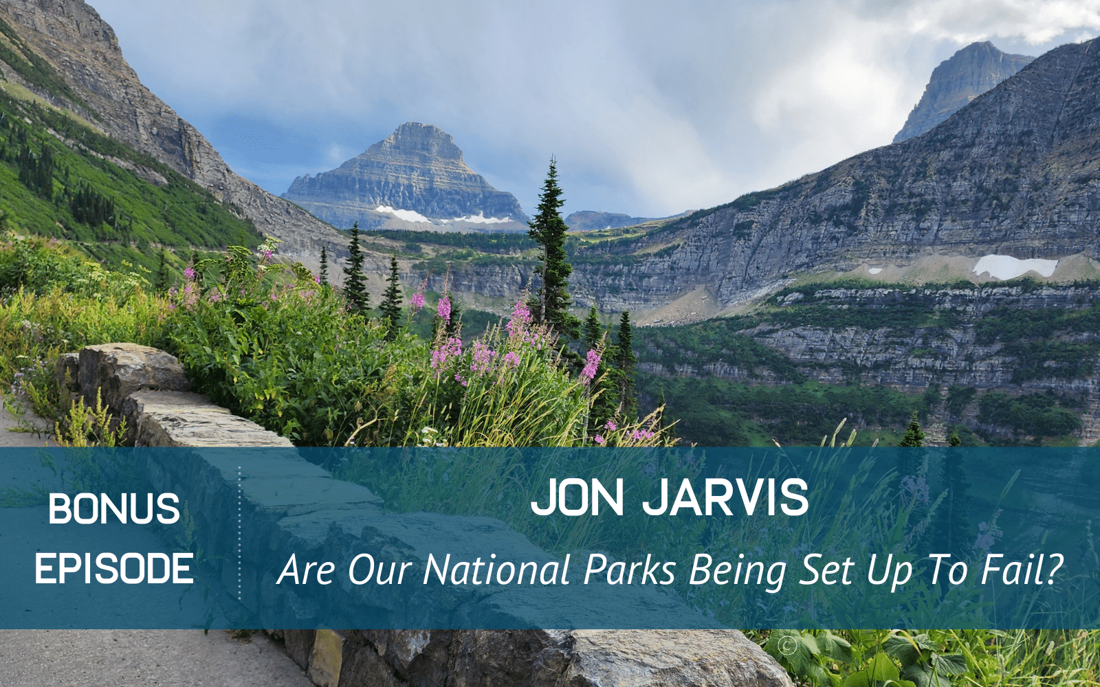 Jon Jarvis on The Wild Idea podcast