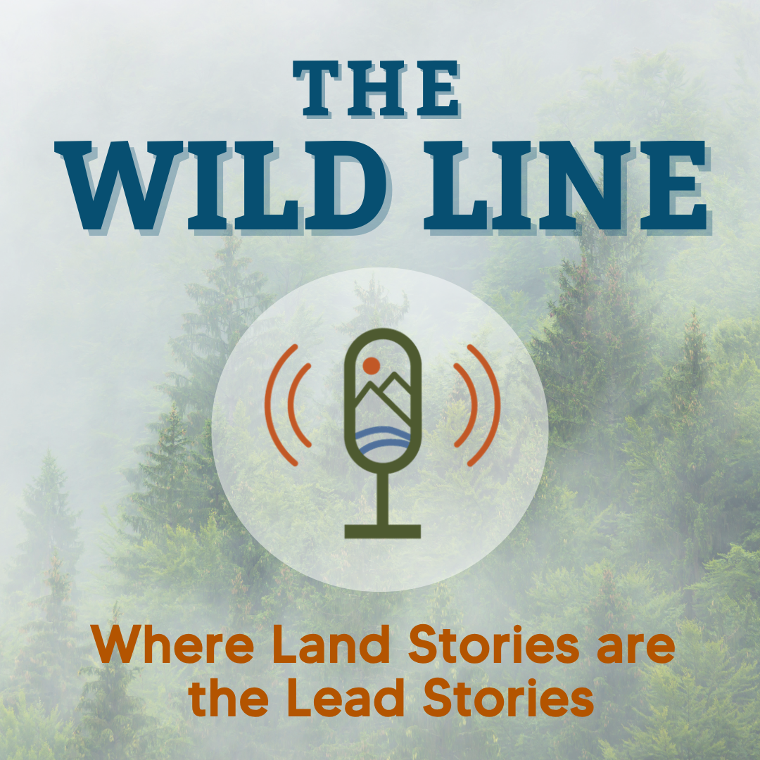 Wild Line IG The Wild Line logo