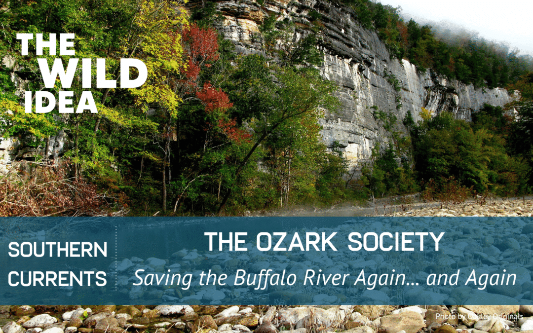 Southern Currents: The Ozark Society and the Buffalo River