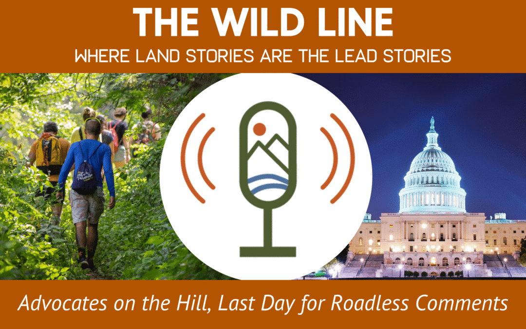 Advocates on the Hill, Last Day for Roadless Comments