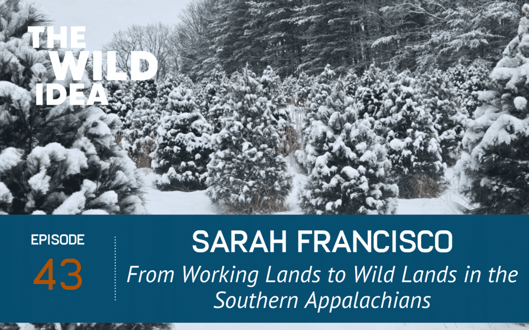 Sarah Francisco: From Working Lands to Wild Lands in the Southern Appalachians