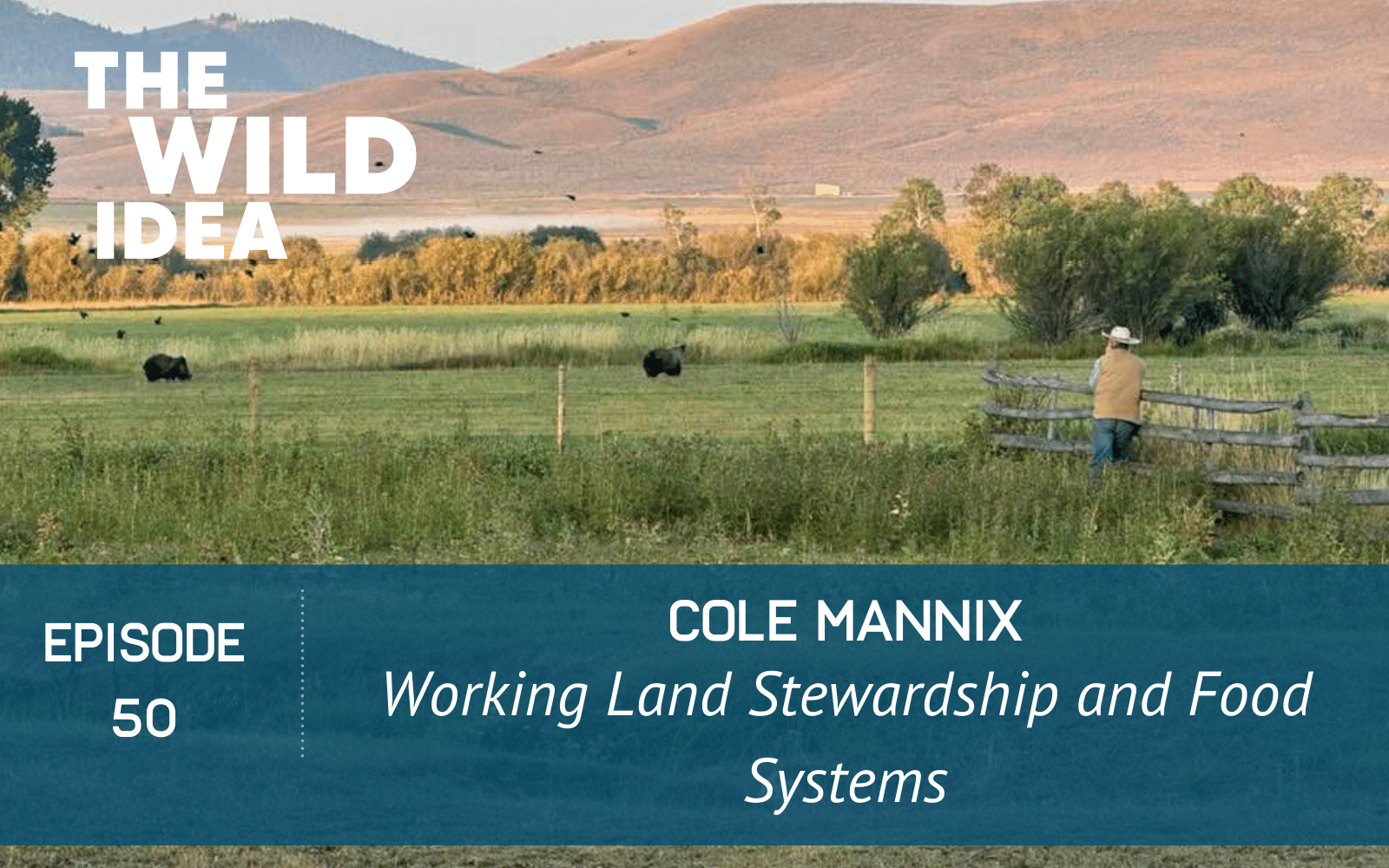 Episode 50 of The Wild Idea podcast: Cole Mannix: Working Land Stewardship and Food Systems