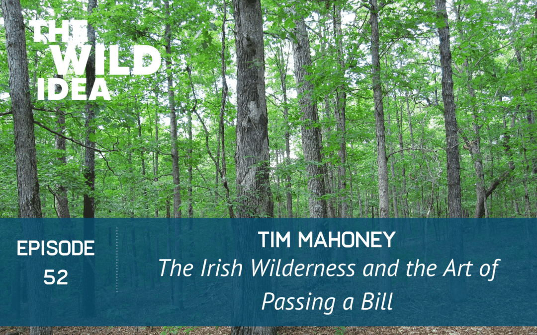 Tim Mahoney: The Irish Wilderness and the Art of Passing a Bill