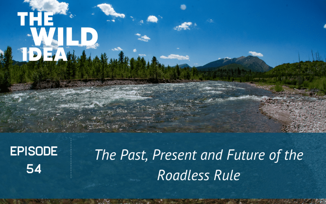 The Past, Present and Future of The Roadless Rule