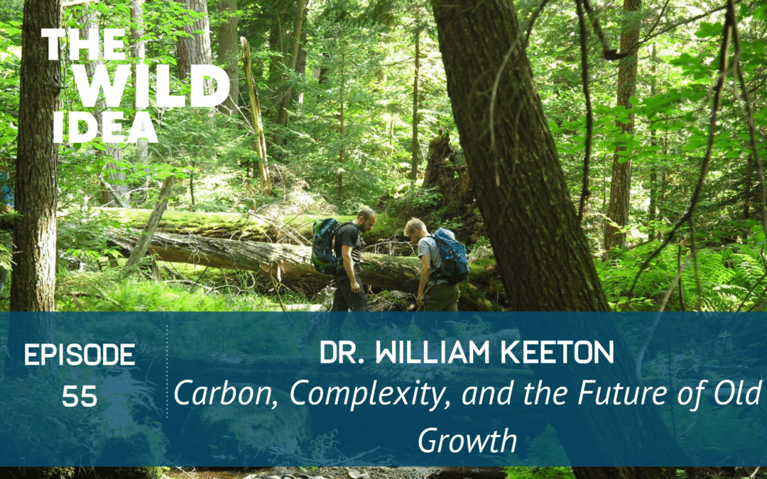 Dr. William Keeton: Carbon, Complexity, and the Future of Old Growth