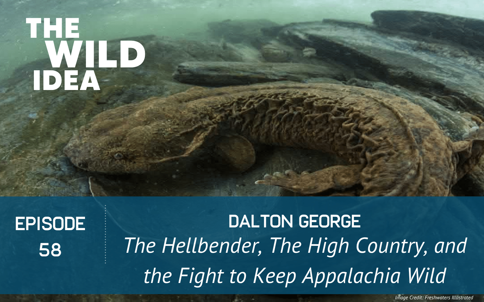 Episode 58 of The Wild Idea podcast with Dalton George. Image credit: Freshwaters Illustrated