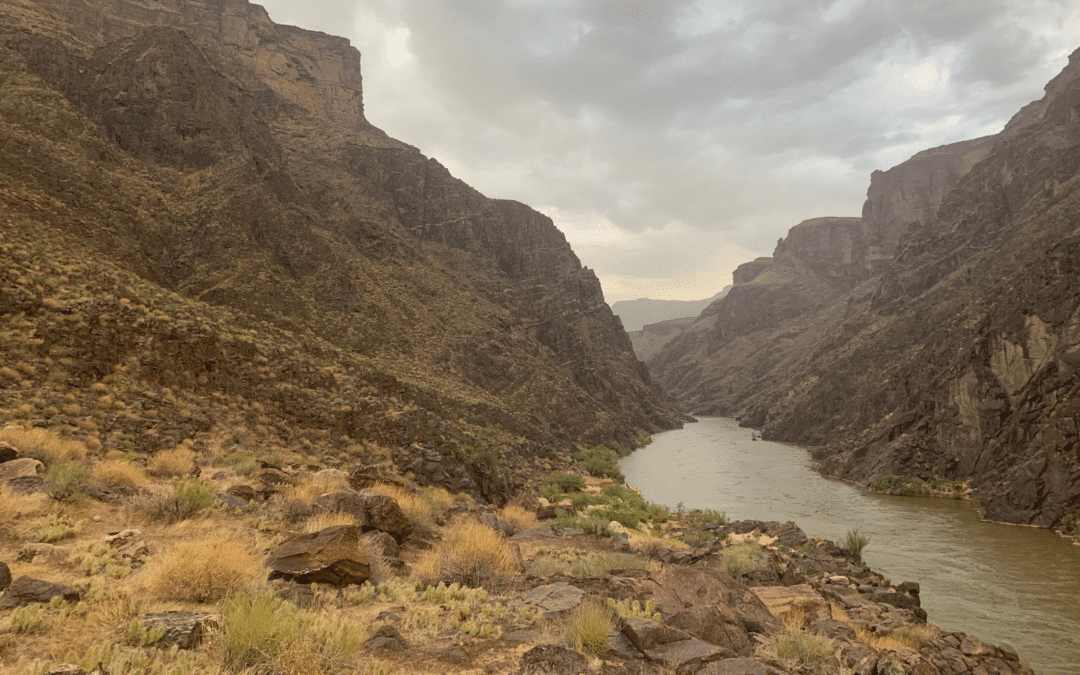 Heather Hansman: Fierce Women Who Ignited America’s Love for the Wild