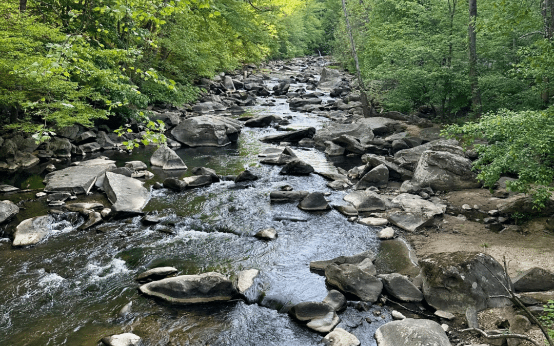 Dan Puskar: DC’s Own National Park