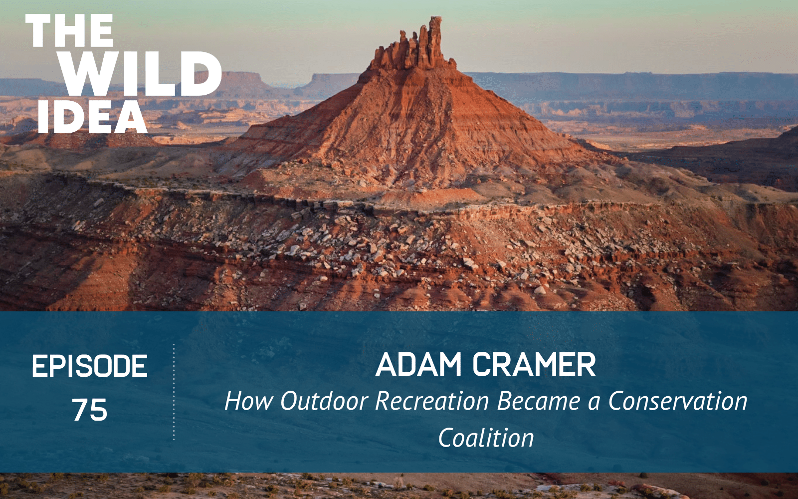 Episode 75 of The Wild Idea podcast with Adam Cramer. Photo credit Holly Mandarich