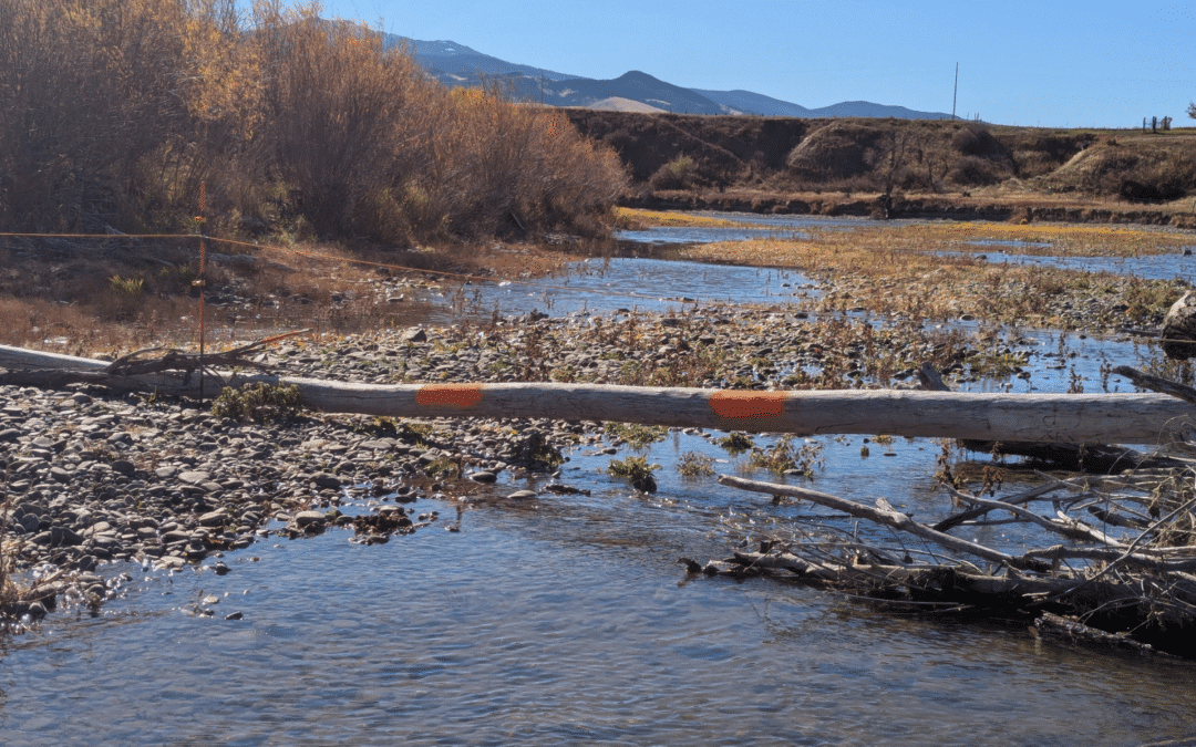 Jim Klug, Hal Herring & Alex Leone: River Access Is Not a Spectator Sport