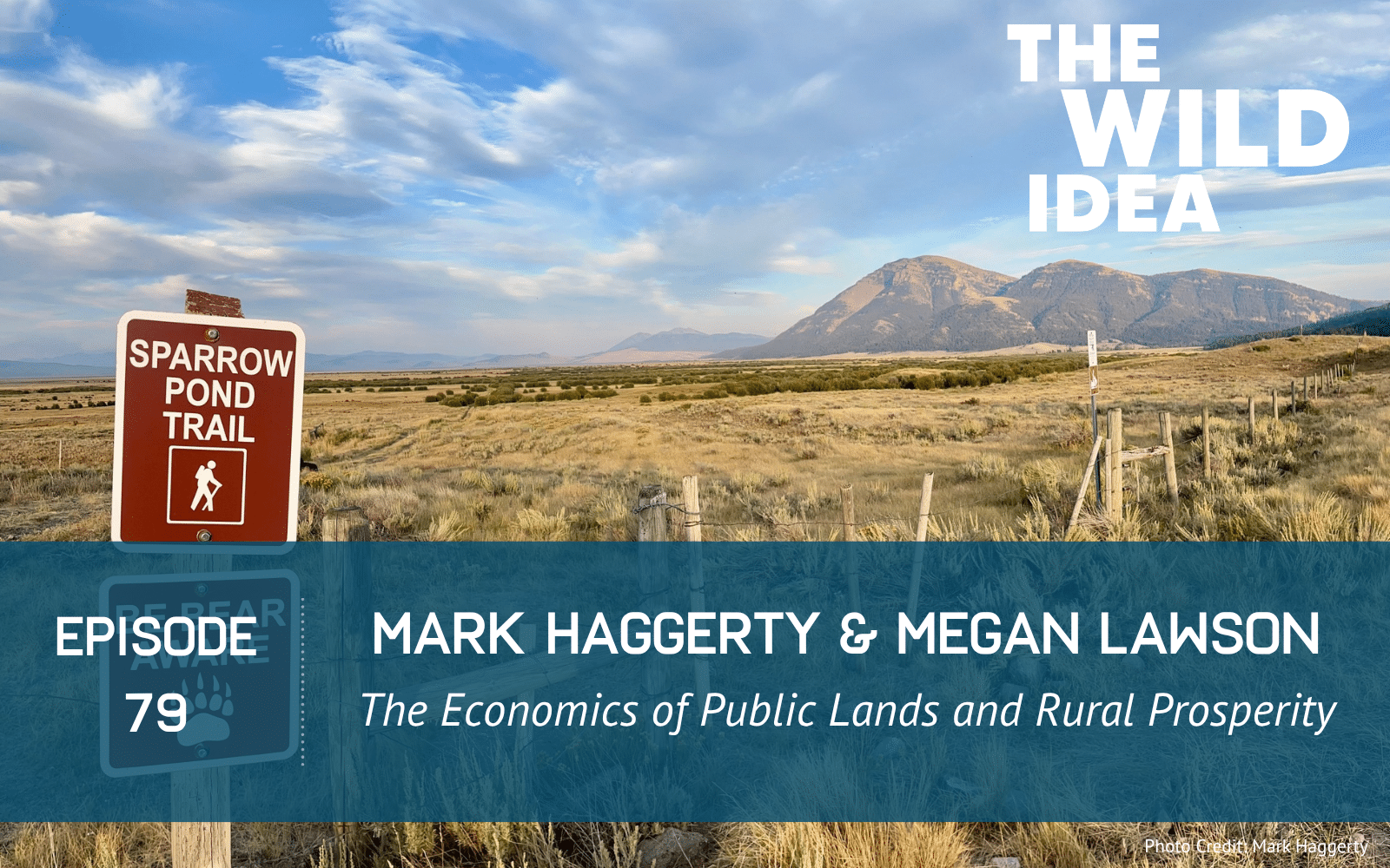 Episode 79 of The Wild Idea podcast