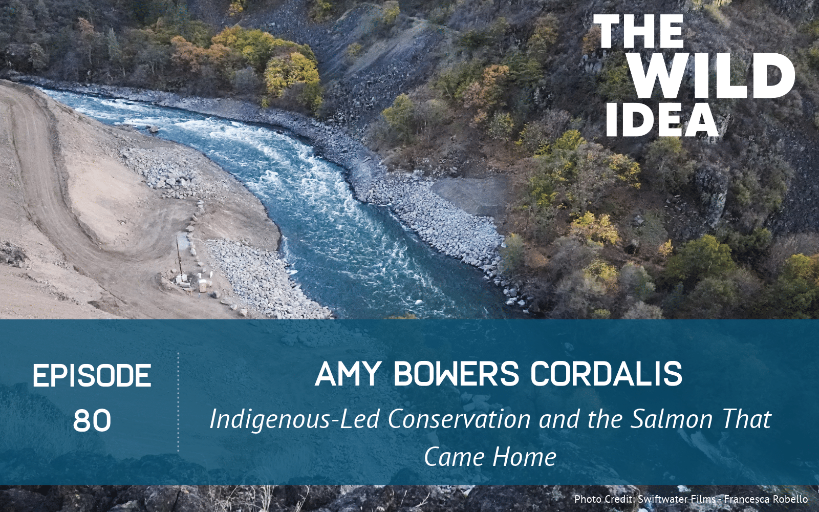 Indigenous-Led Conservation and the Salmon That Came Home