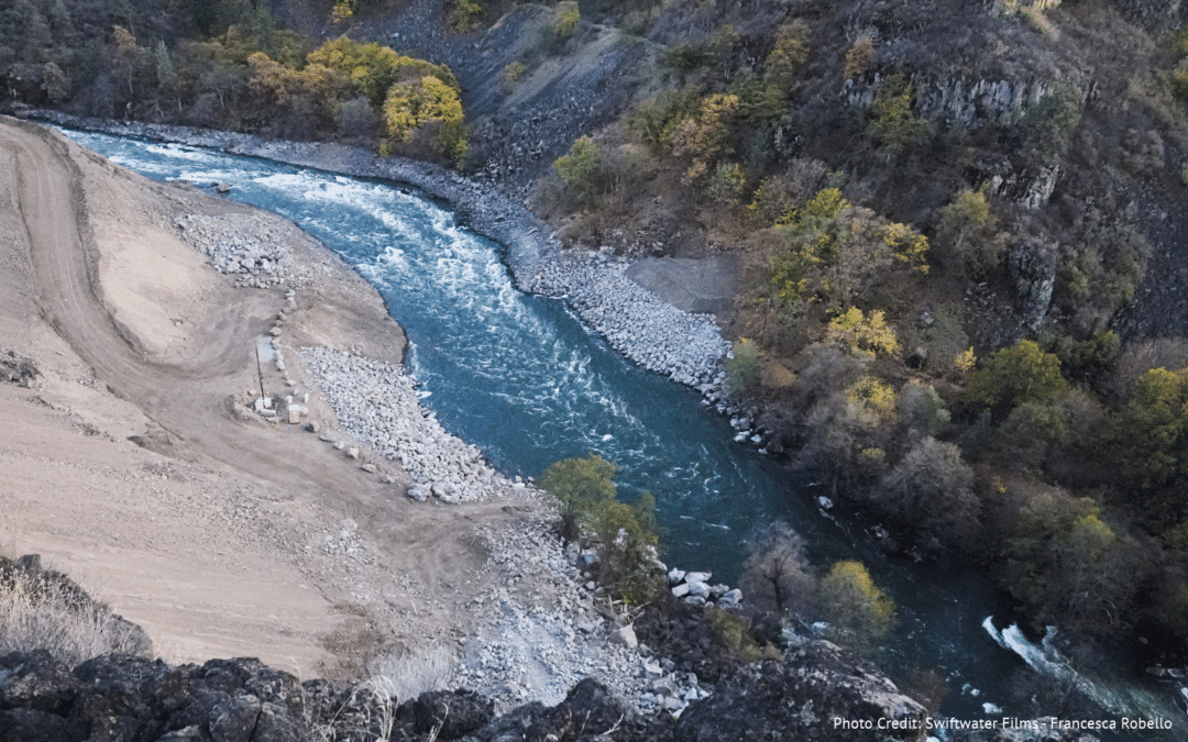 Amy Bowers Cordalis: Indigenous-Led Conservation and the Salmon That Came Home