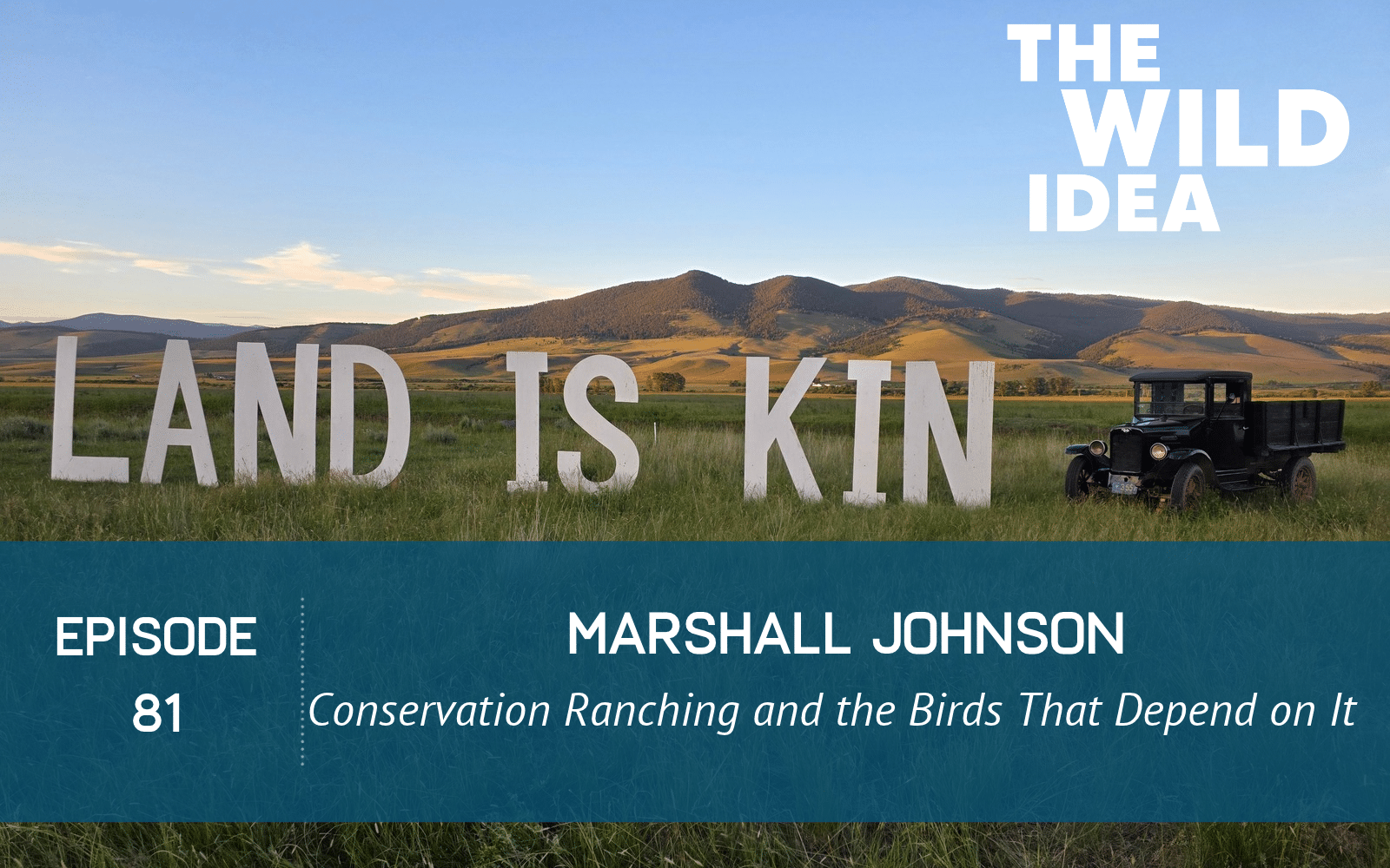 Episode 81 of The Wild Idea podcast
